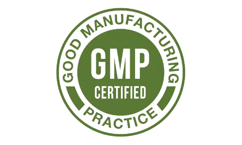 Matcha Superfood GMP Certified